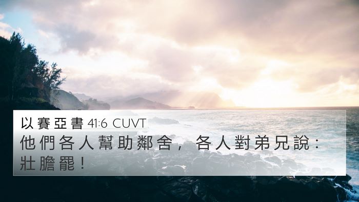 以 賽 亞 書 41:6 CUVT Bible Verse Image