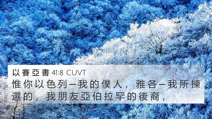 以 賽 亞 書 41:8 CUVT Bible Verse Image