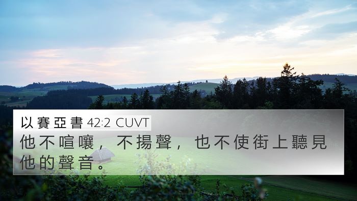 以 賽 亞 書 42:2 CUVT Bible Verse Image