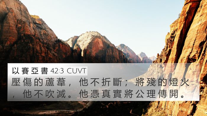 以 賽 亞 書 42:3 CUVT Bible Verse Image
