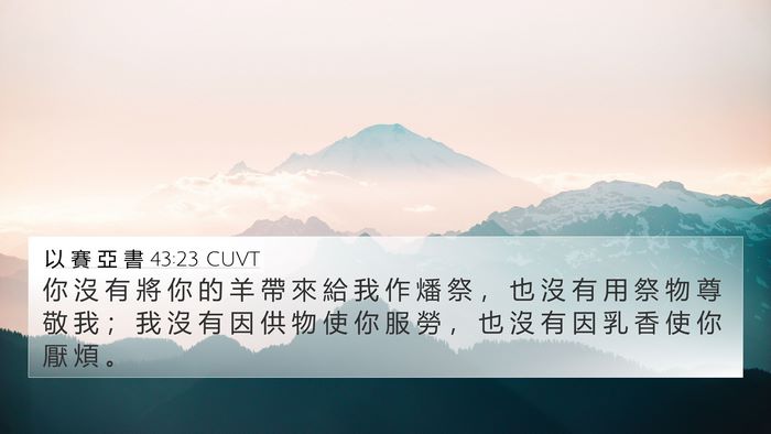 以 賽 亞 書 43:23 CUVT Bible Verse Image