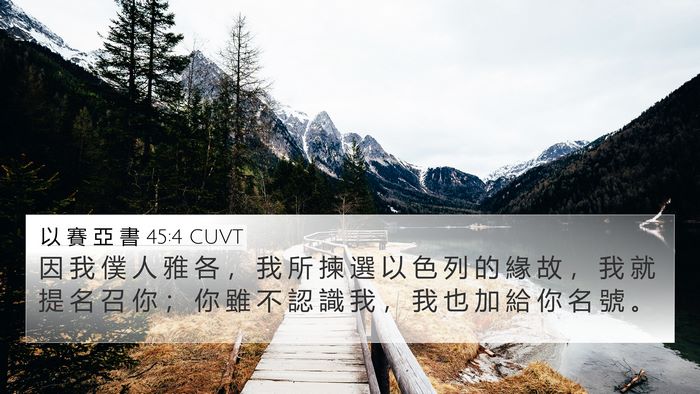 以 賽 亞 書 45:4 CUVT Bible Verse Image