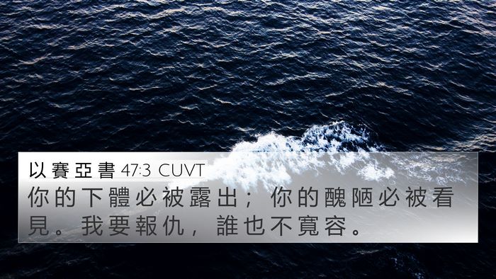 以 賽 亞 書 47:3 CUVT Bible Verse Image