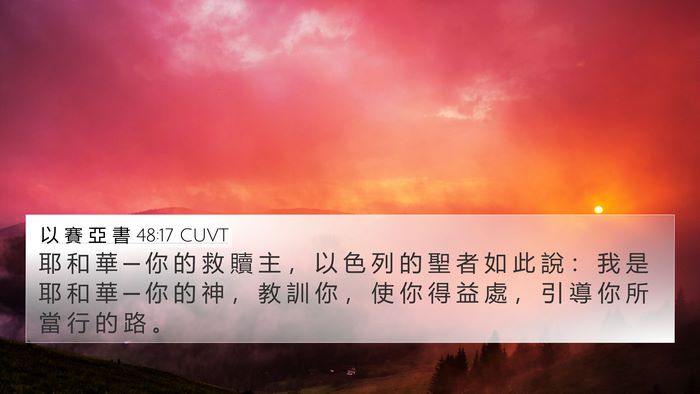 以 賽 亞 書 48:17 CUVT Bible Verse Image