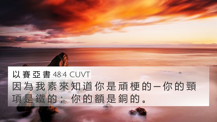 以 賽 亞 書 48:4 CUVT Bible Verse Image