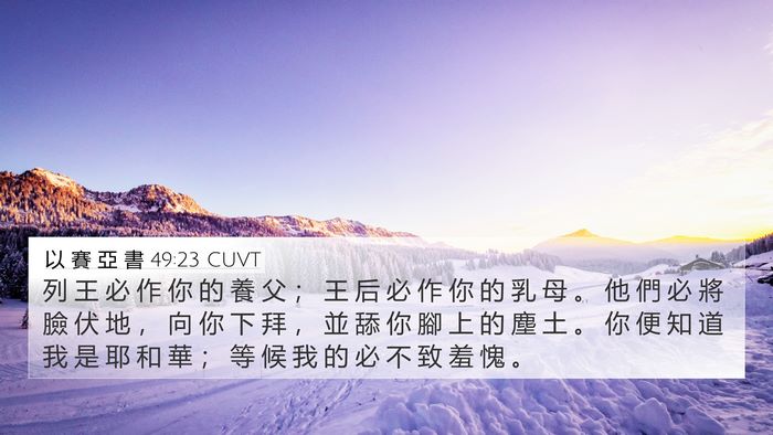 以 賽 亞 書 49:23 CUVT Bible Verse Image