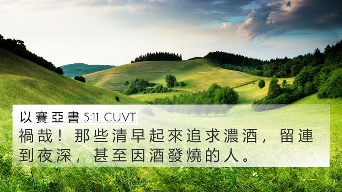 以 賽 亞 書 5:11 CUVT Bible Verse Image