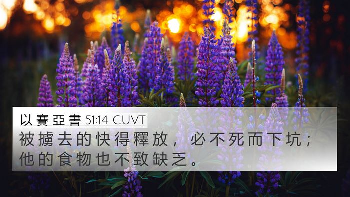 以 賽 亞 書 51:14 CUVT Bible Verse Image