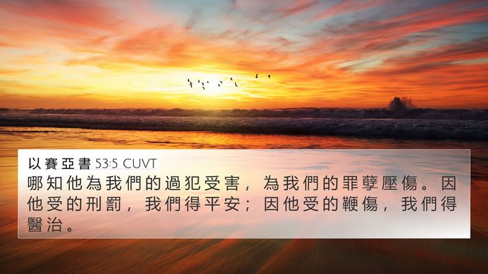 以 賽 亞 書 53:5 CUVT Bible Verse Image