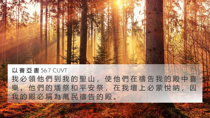以 賽 亞 書 56:7 CUVT Bible Verse Image