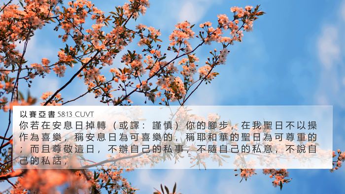 以 賽 亞 書 58:13 CUVT Bible Verse Image
