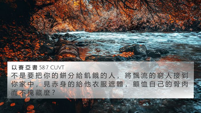 以 賽 亞 書 58:7 CUVT Bible Verse Image