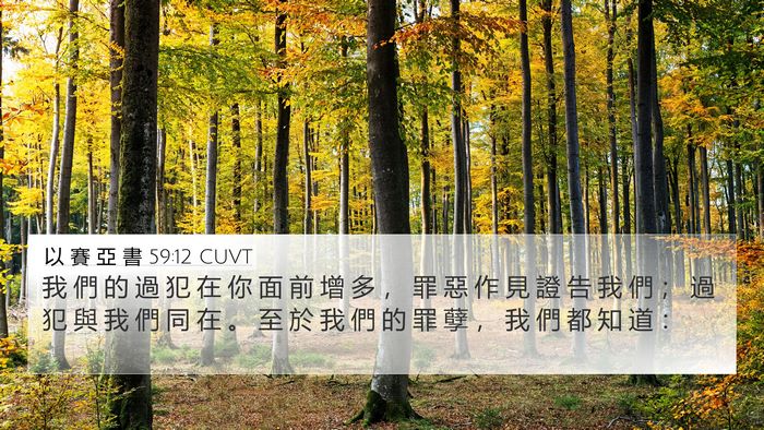 以 賽 亞 書 59:12 CUVT 4K Wallpaper - 我 們 的 過 犯 在 你 面 前 增 多 ， - 4K Wallpaper Bible Verse