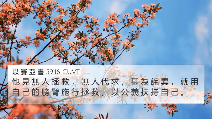以 賽 亞 書 59:16 CUVT 4K Wallpaper - 他 見 無 人 拯 救 ， 無 人 代 求 ， - 4K Wallpaper Bible Verse