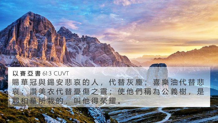 以 賽 亞 書 61:3 CUVT Bible Verse Image