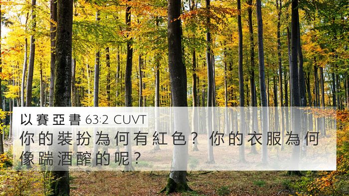 以 賽 亞 書 63:2 CUVT 4K Wallpaper - 你 的 裝 扮 為 何 有 紅 色 ？ 你 的 - 4K Wallpaper Bible Verse