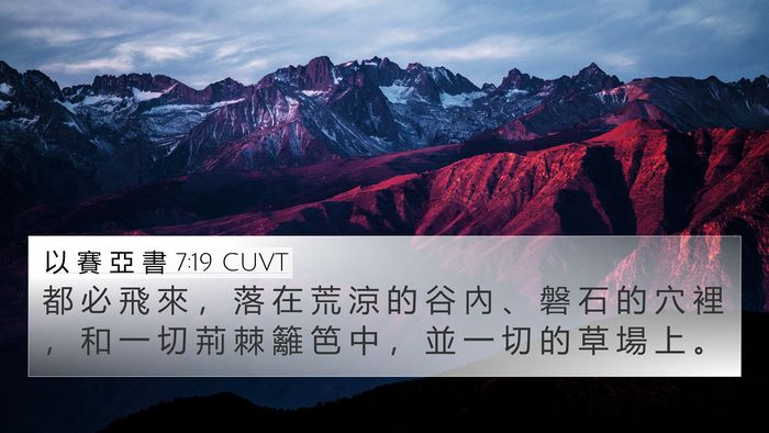 以 賽 亞 書 7:19 CUVT 4K Wallpaper - 都 必 飛 來 ， 落 在 荒 涼 的 谷 內 - 4K Wallpaper Bible Verse