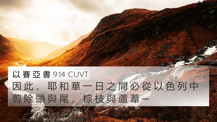 以 賽 亞 書 9:14 CUVT Bible Verse Image