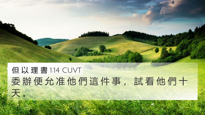 但 以 理 書 1:14 CUVT 4K Wallpaper - 委 辦 便 允 准 他 們 這 件 事 ， 試 - 4K Wallpaper Bible Verse