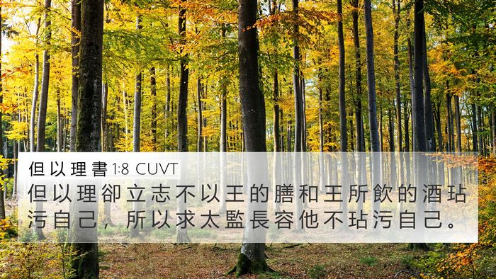 但 以 理 書 1:8 CUVT Bible Verse Image