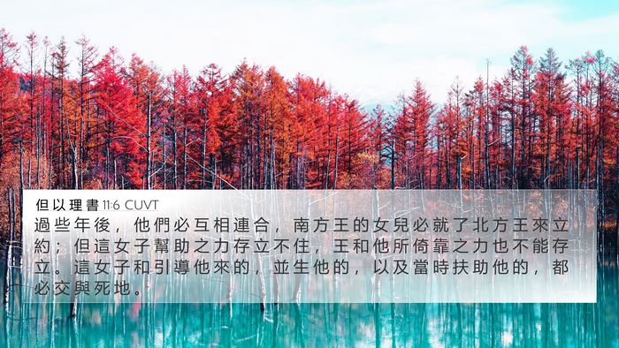 但 以 理 書 11:6 CUVT Bible Verse Image
