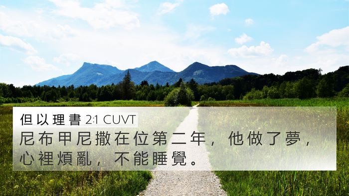 但 以 理 書 2:1 CUVT Bible Verse Image