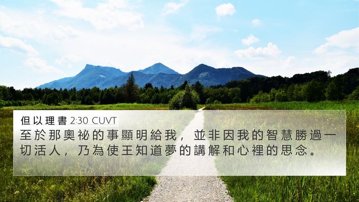 但 以 理 書 2:30 CUVT Bible Verse Image