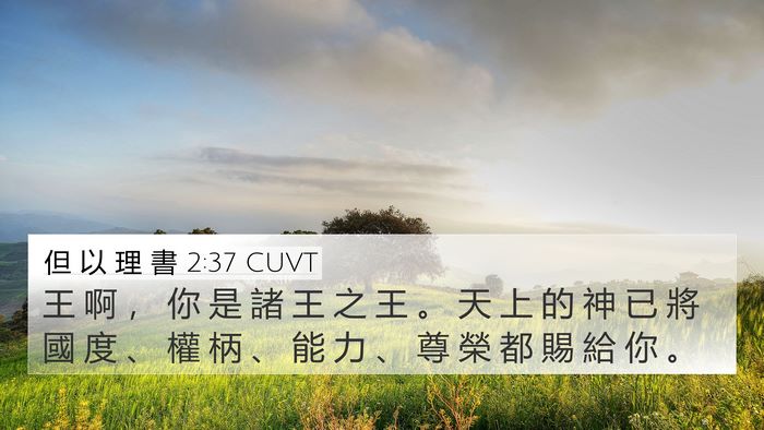但 以 理 書 2:37 CUVT Bible Verse Image