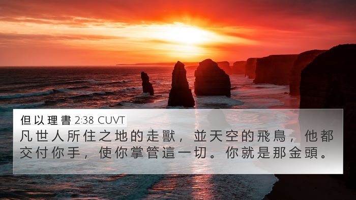 但 以 理 書 2:38 CUVT Bible Verse Image