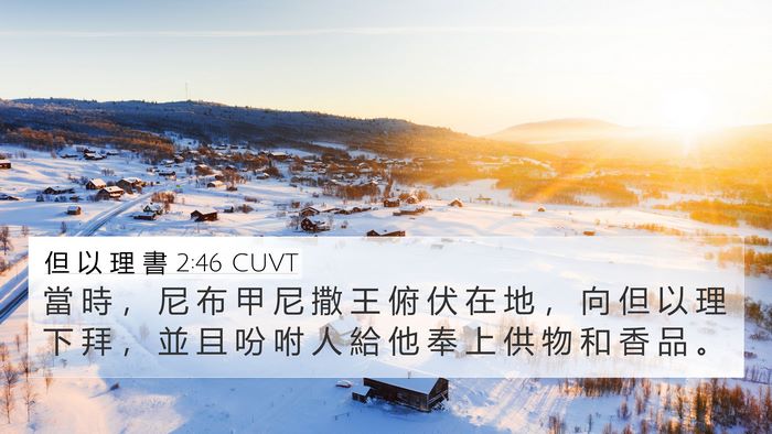 但 以 理 書 2:46 CUVT 4K Wallpaper - 當 時 ， 尼 布 甲 尼 撒 王 俯 伏 在 - 4K Wallpaper Bible Verse