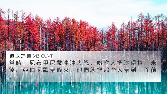 但 以 理 書 3:13 CUVT Bible Verse Image
