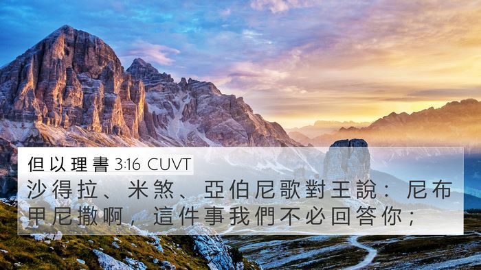 但 以 理 書 3:16 CUVT Bible Verse Image