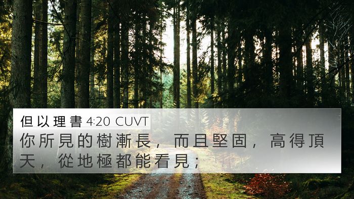 但 以 理 書 4:20 CUVT Bible Verse Image