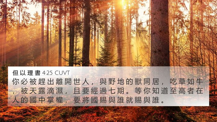 但 以 理 書 4:25 CUVT Bible Verse Image