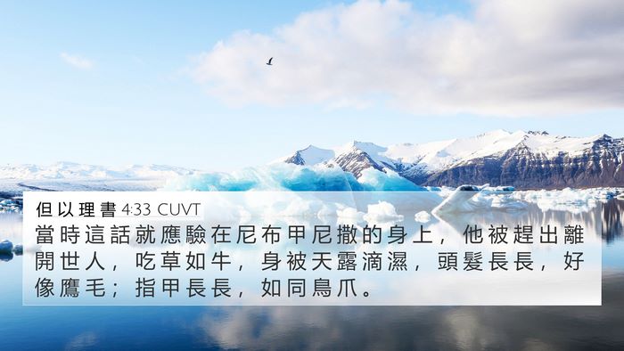 但 以 理 書 4:33 CUVT 4K Wallpaper - 當 時 這 話 就 應 驗 在 尼 布 甲 尼 - 4K Wallpaper Bible Verse