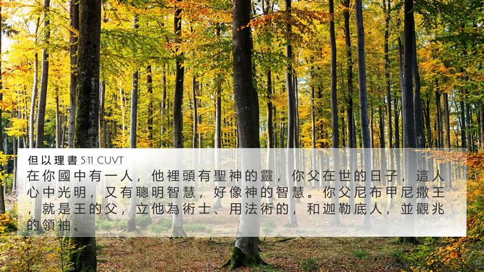 但 以 理 書 5:11 CUVT Bible Verse Image