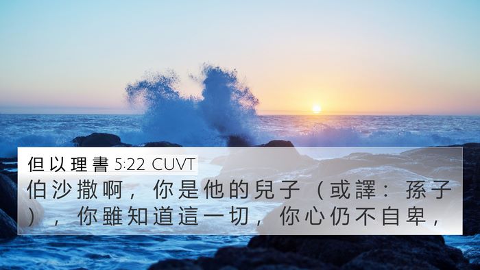 但 以 理 書 5:22 CUVT Bible Verse Image