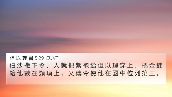 但 以 理 書 5:29 CUVT Bible Verse Image