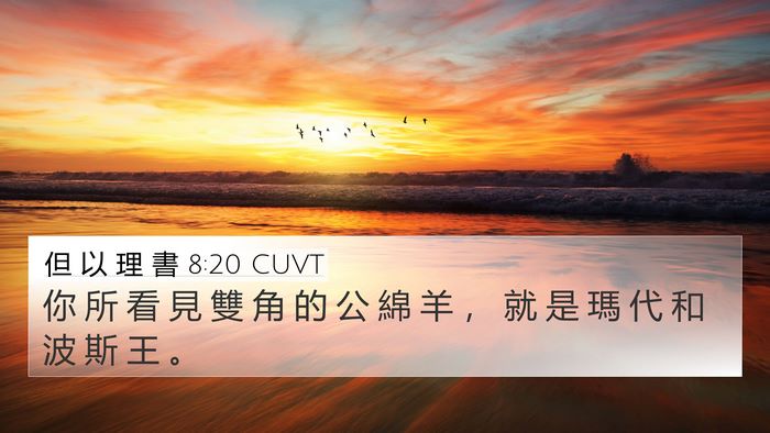 但 以 理 書 8:20 CUVT Bible Verse Image