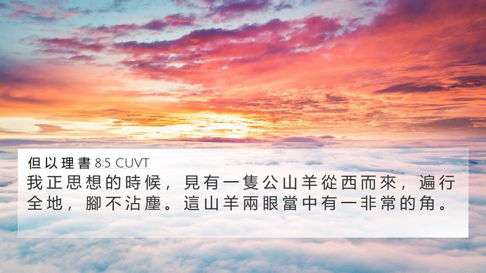 但 以 理 書 8:5 CUVT Bible Verse Image