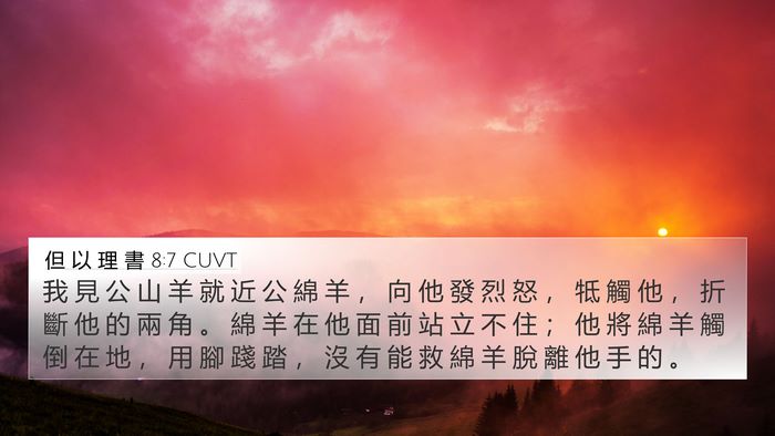 但 以 理 書 8:7 CUVT Bible Verse Image