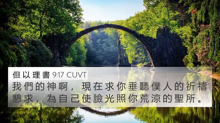 但 以 理 書 9:17 CUVT Bible Verse Image