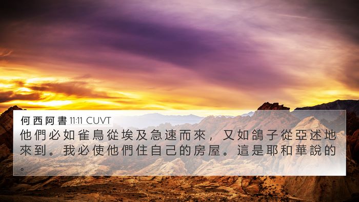 何 西 阿 書 11:11 CUVT Bible Verse Image