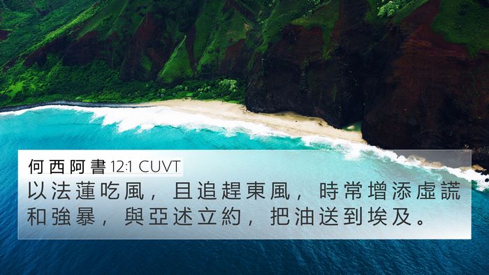 何 西 阿 書 12:1 CUVT Bible Verse Image
