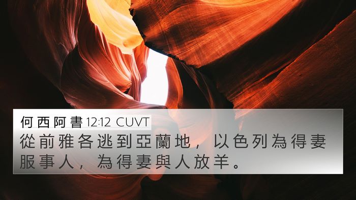 何 西 阿 書 12:12 CUVT Bible Verse Image