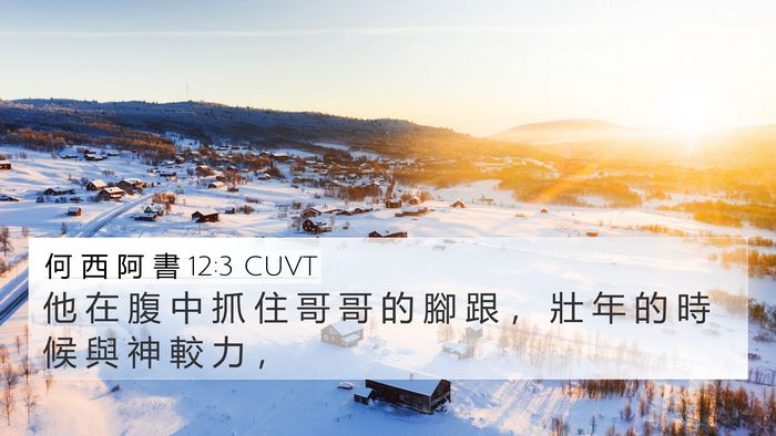 何 西 阿 書 12:3 CUVT Bible Verse Image