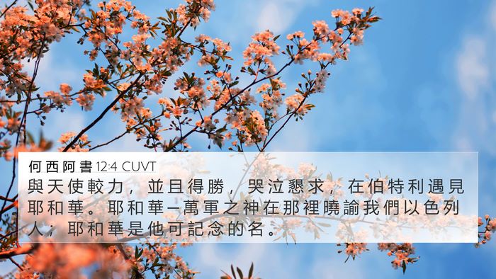 何 西 阿 書 12:4 CUVT Bible Verse Image
