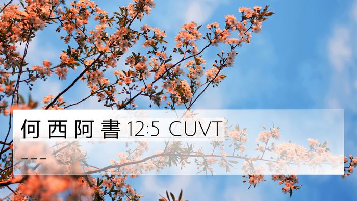 何 西 阿 書 12:5 CUVT Bible Verse Image