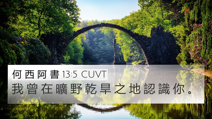 何 西 阿 書 13:5 CUVT Bible Verse Image