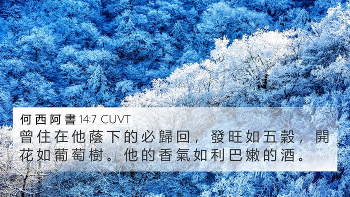 何 西 阿 書 14:7 CUVT 4K Wallpaper - 曾 住 在 他 蔭 下 的 必 歸 回 ， 發 - 4K Wallpaper Bible Verse